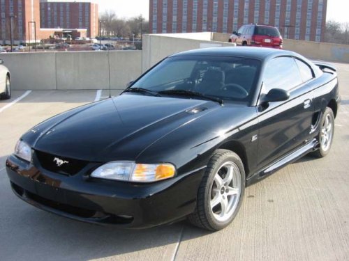 My Mustang